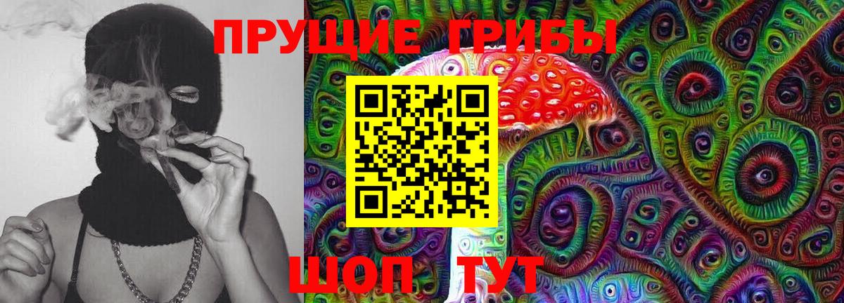 Галлюциногенные грибы Psilocybe  Псилоцибиновые грибы Magic Shrooms  Вход с VPN  Реж 